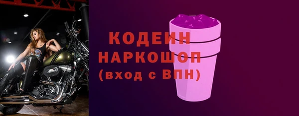 МДПВ Каменка