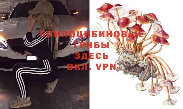 спиды Каменск-Шахтинский