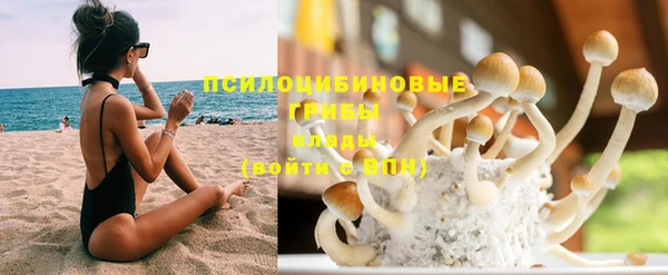 винт Алексеевка