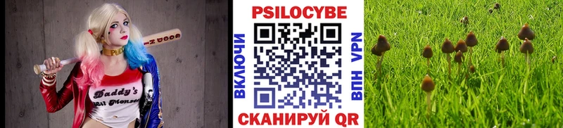 сколько стоит  Тара  Галлюциногенные грибы мицелий 